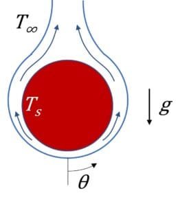 Natural convection boundary layer development on a horizontal cylinder