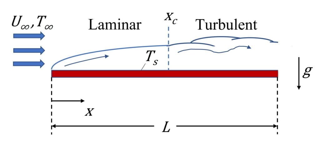 Boundary layer development on the horizontal plate in parallel flow.