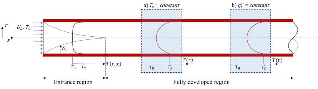 Thermal boundary layer development in a heated cylinder