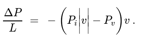 porous region equation