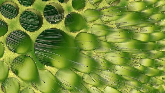 CFD calculations