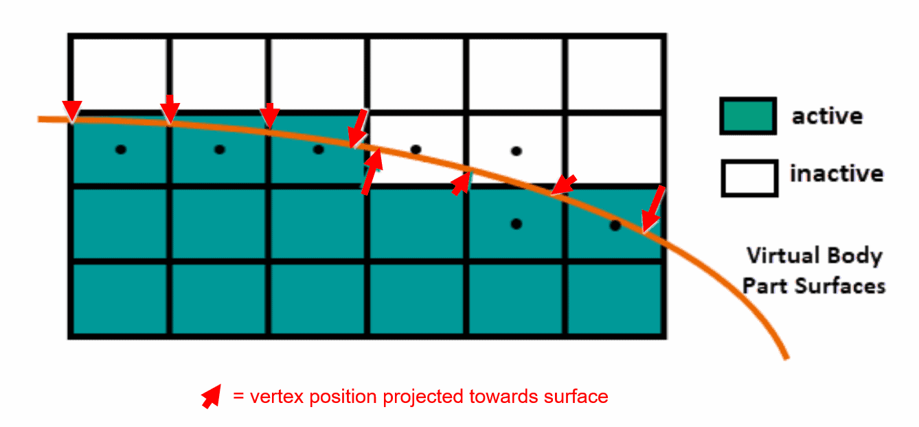 Immersed boundary layer mesh STAR